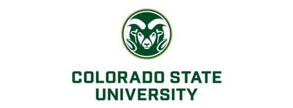 Marriage and Family Therapy Specialization